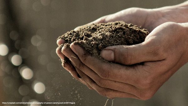 A pair of hands holds dirt in their hands