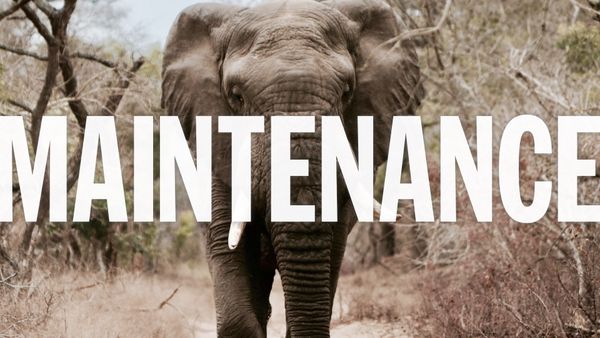 A large photo of an elephant stands behind the word Maintenance